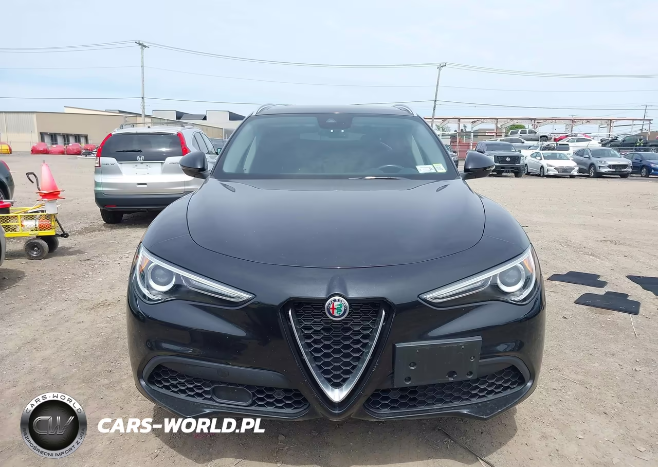 2021 Alfa Romeo Stelvio Awd VIN:ZASPAKAN1M7D00264 - 12