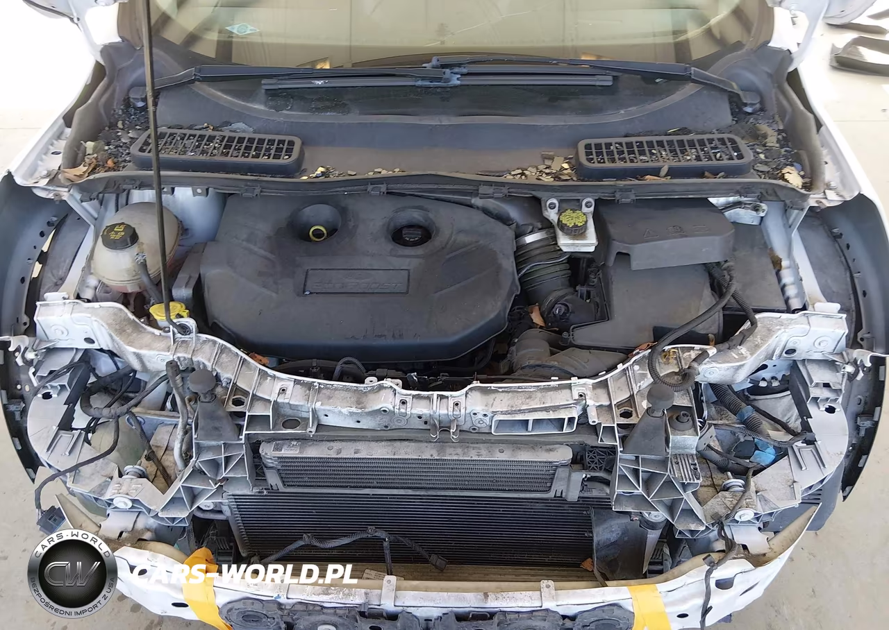 2019 Ford Escape Titanium VIN:1FMCU9J90KUA82600 - 10