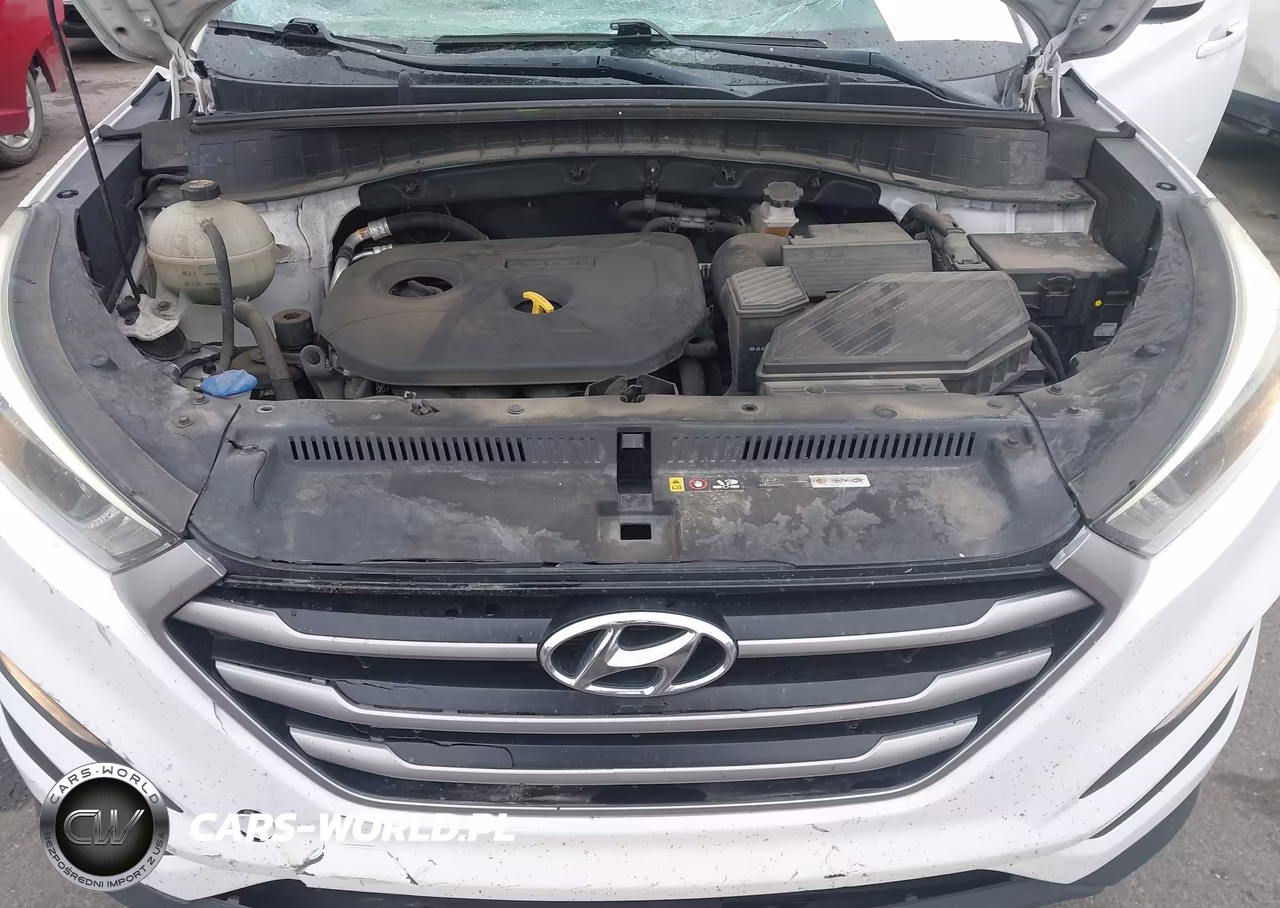 2017 Hyundai Tucson Se VIN:KM8J3CA48HU274383 - 10