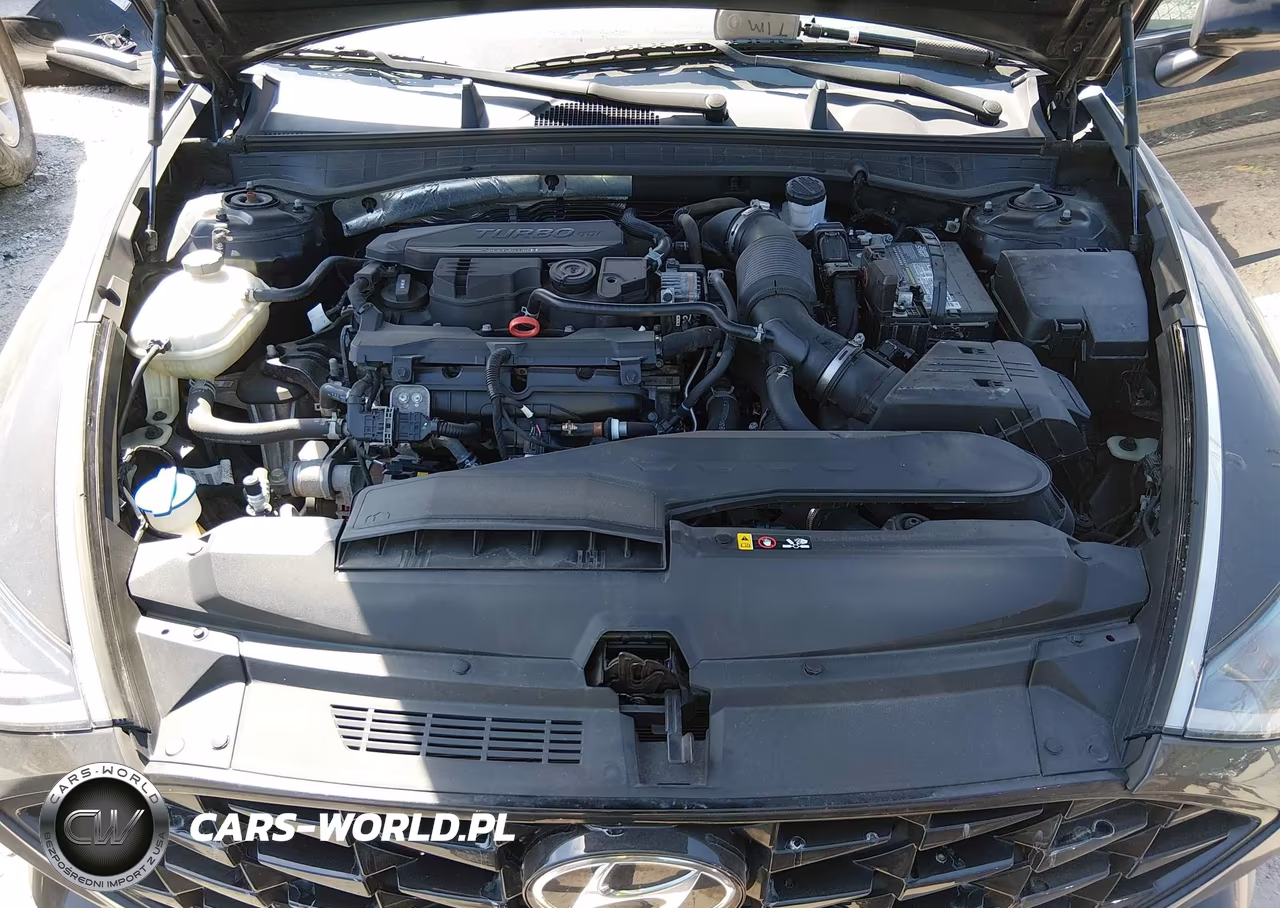 2020 Hyundai Sonata Limited VIN:5NPEH4J26LH046252 - 10