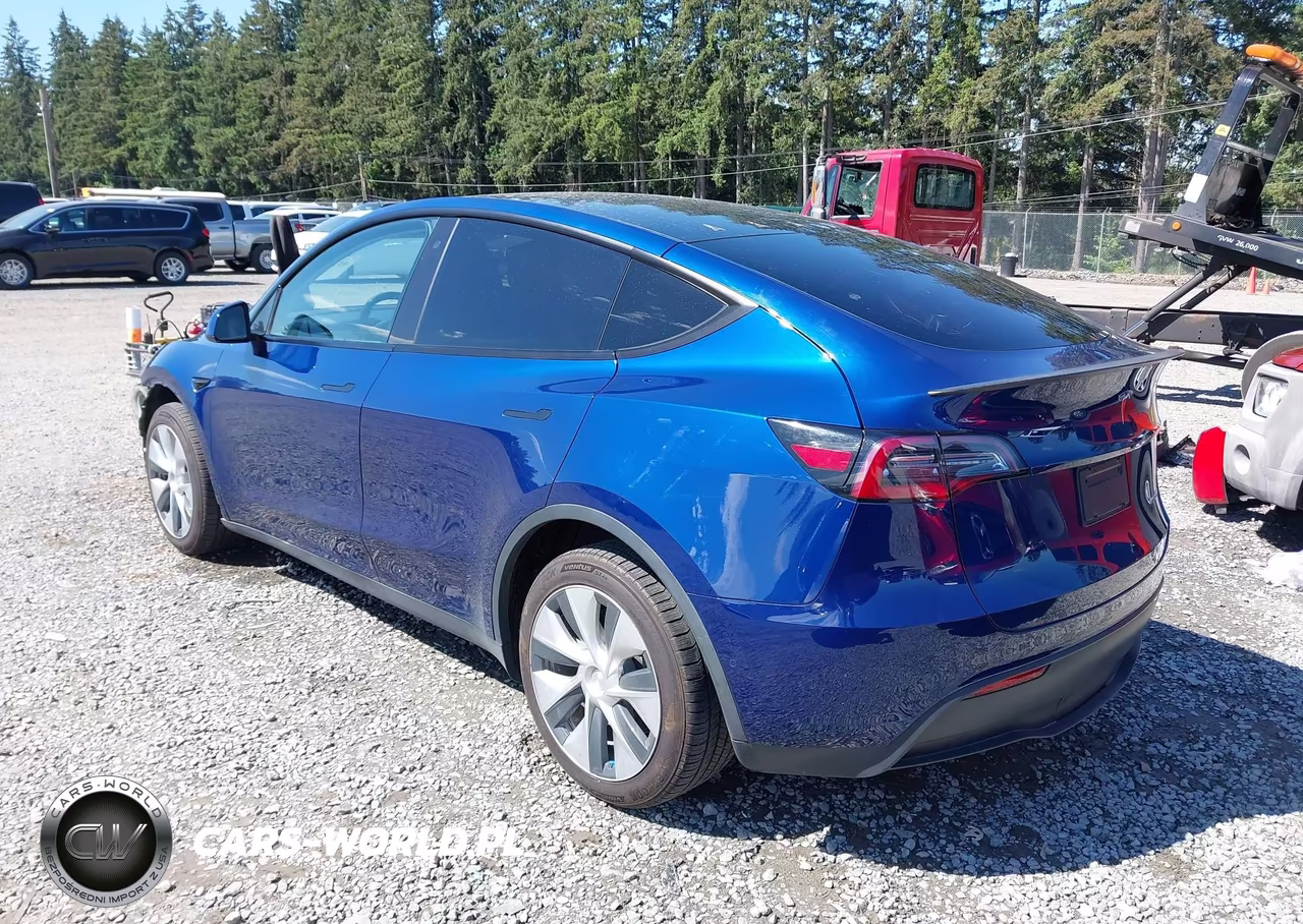 2020 Tesla Model Y Long Range Dual Motor All-Wheel Drive-Performance Dual Motor All-Wheel Drive VIN:5YJYGDEF3LF001944 - 3