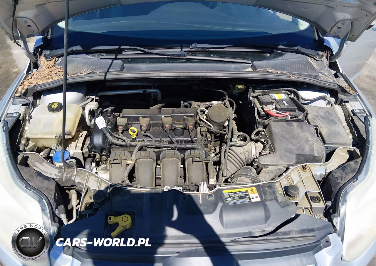 2014 Ford Focus Se VIN:1FADP3F27EL215927 - 10