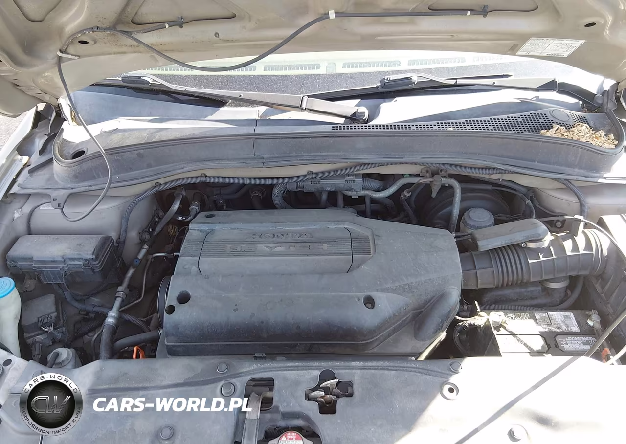 2004 Honda Pilot Ex-L VIN:2HKYF18674H543905 - 10