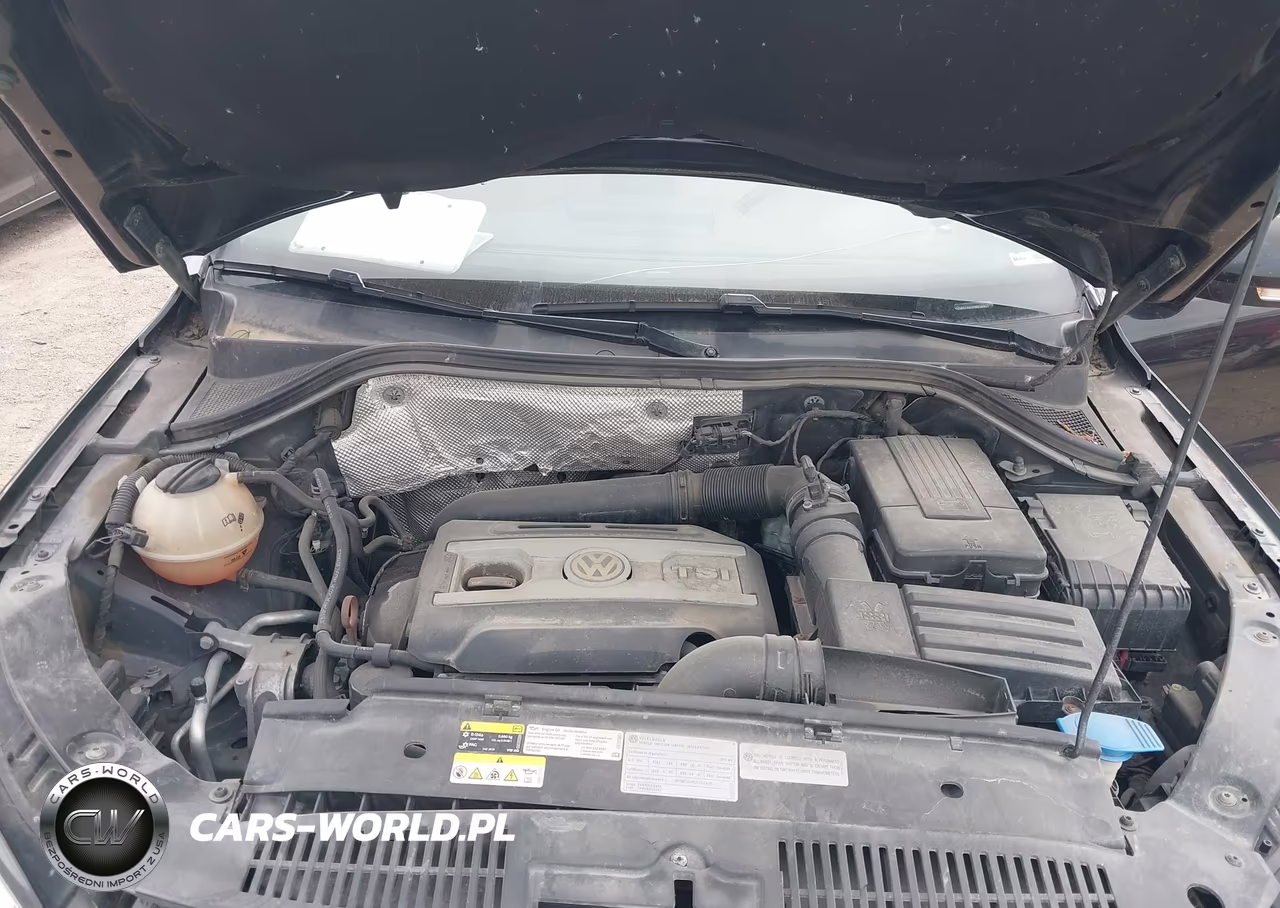 2013 Volkswagen Tiguan Se VIN:WVGBV7AX2DW510928 - 10