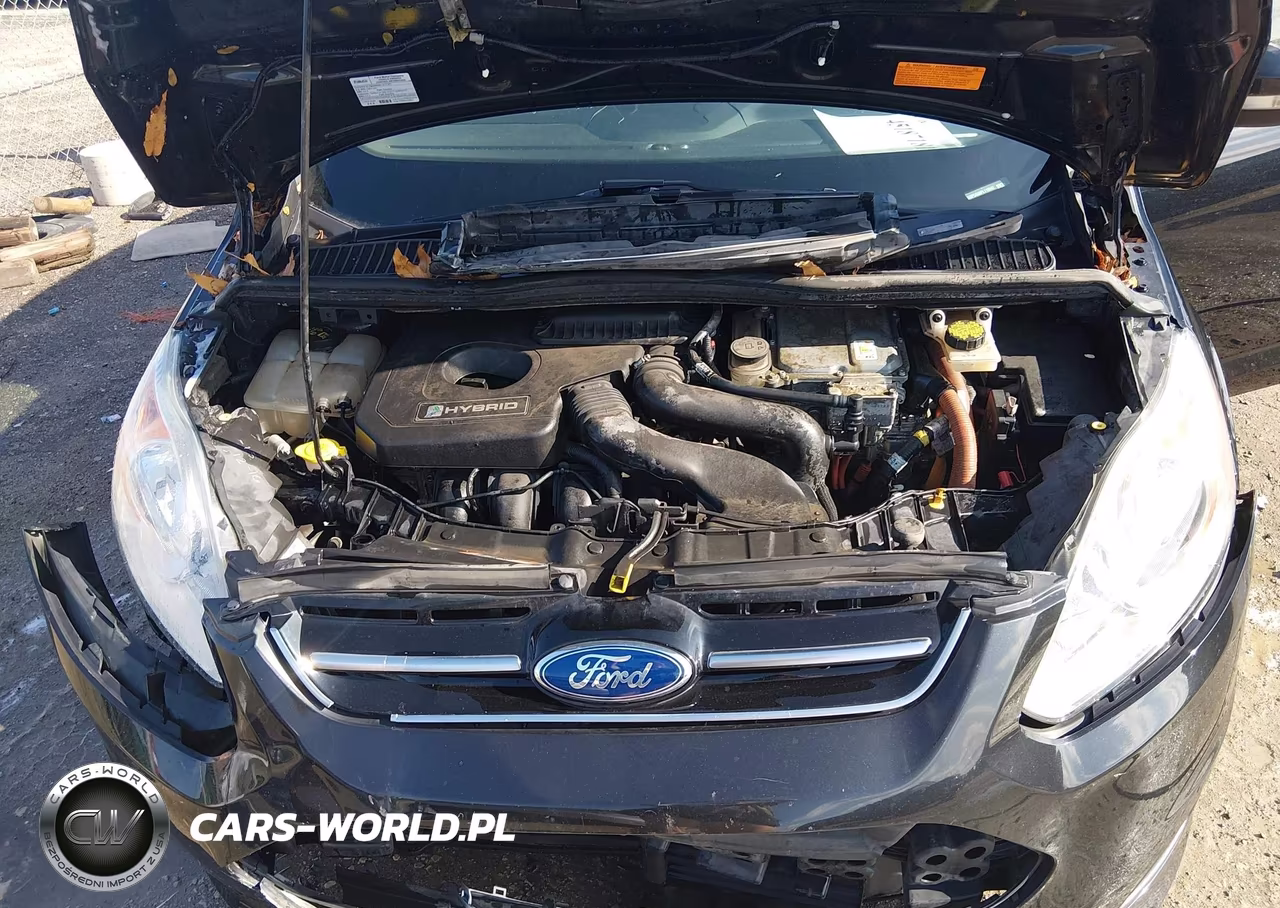 2015 Ford C-Max Hybrid Se VIN:1FADP5AU0FL118042 - 10