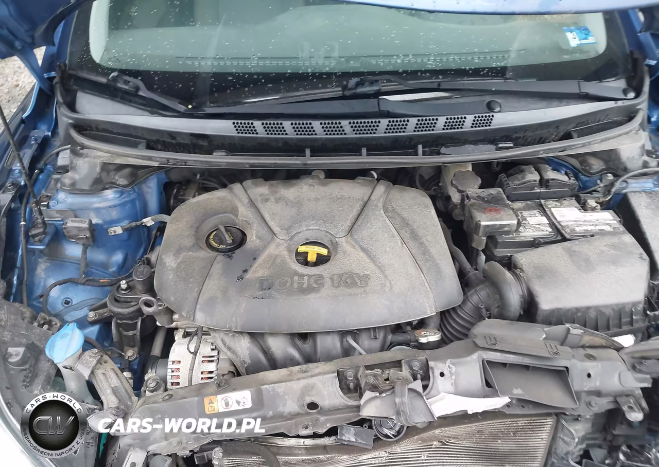 2015 Hyundai Elantra Se VIN:5NPDH4AEXFH570532 - 10