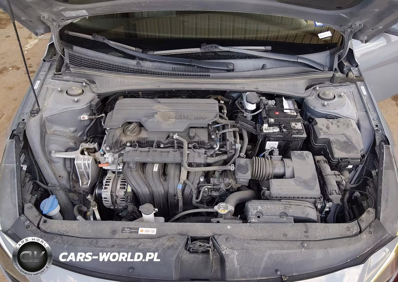 HYUNDAI ELANTRA VIN:KMHLN4AG6MU090007 - 10