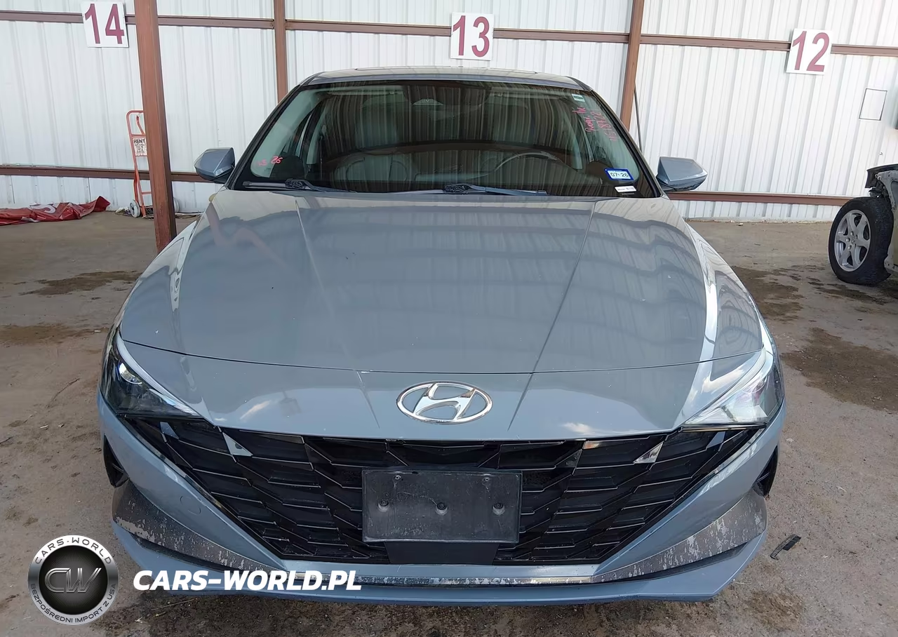 HYUNDAI ELANTRA VIN:KMHLN4AG6MU090007 - 12