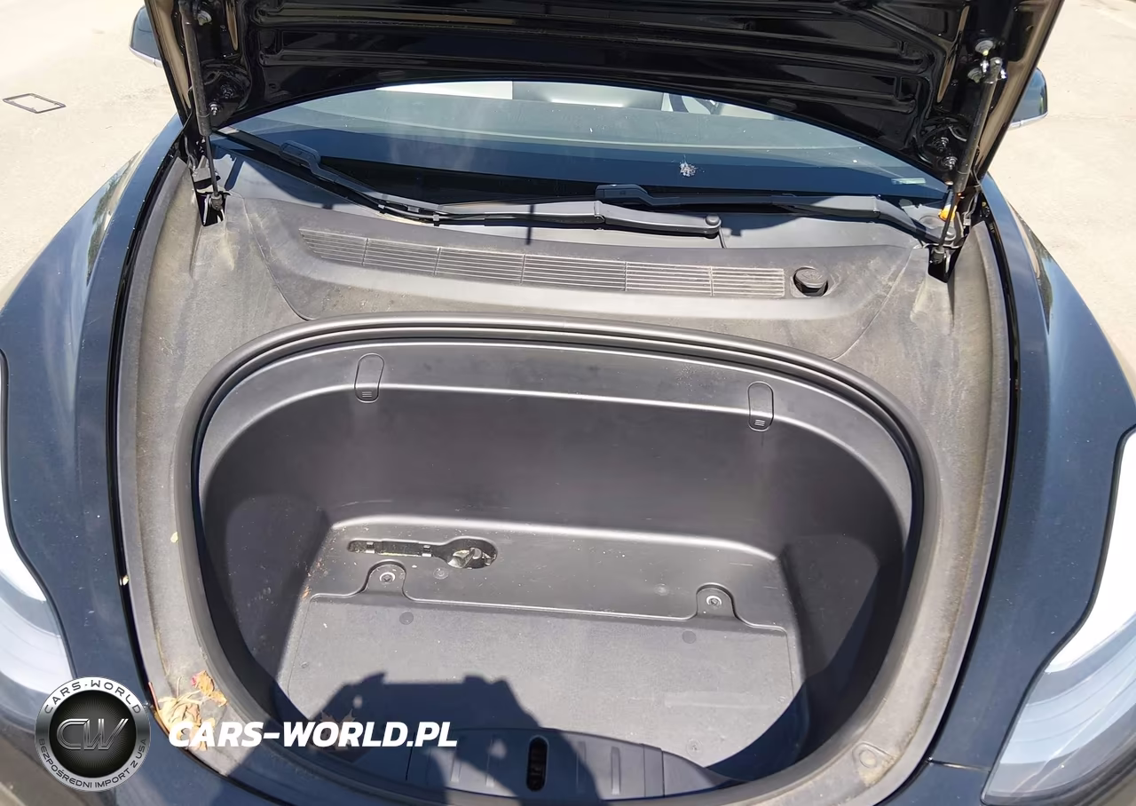 2019 Tesla Model 3 Long Range-Mid Range-Standard Range-Standard Range Plus VIN:5YJ3E1EA4KF323543 - 10