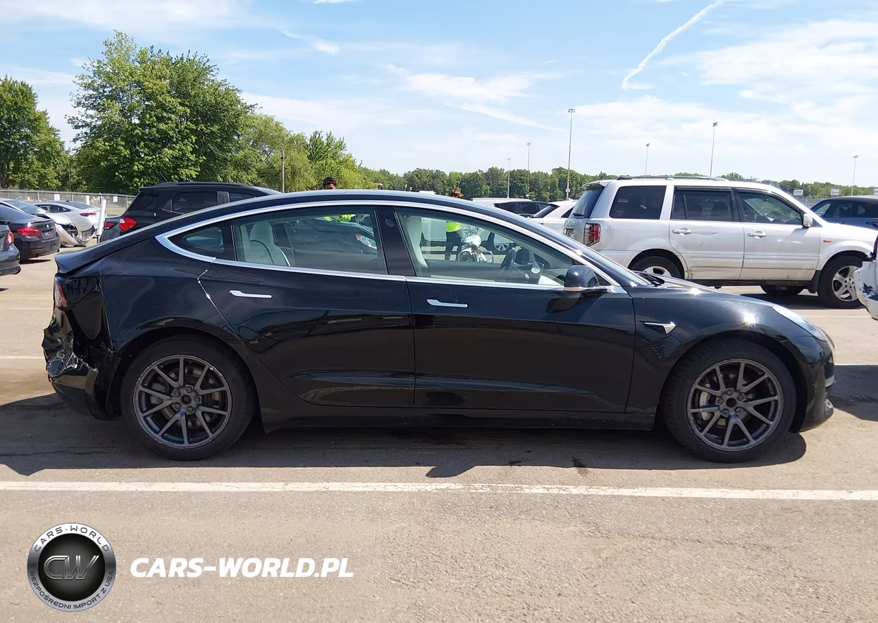 2019 Tesla Model 3 Long Range-Mid Range-Standard Range-Standard Range Plus VIN:5YJ3E1EA4KF323543 - 13