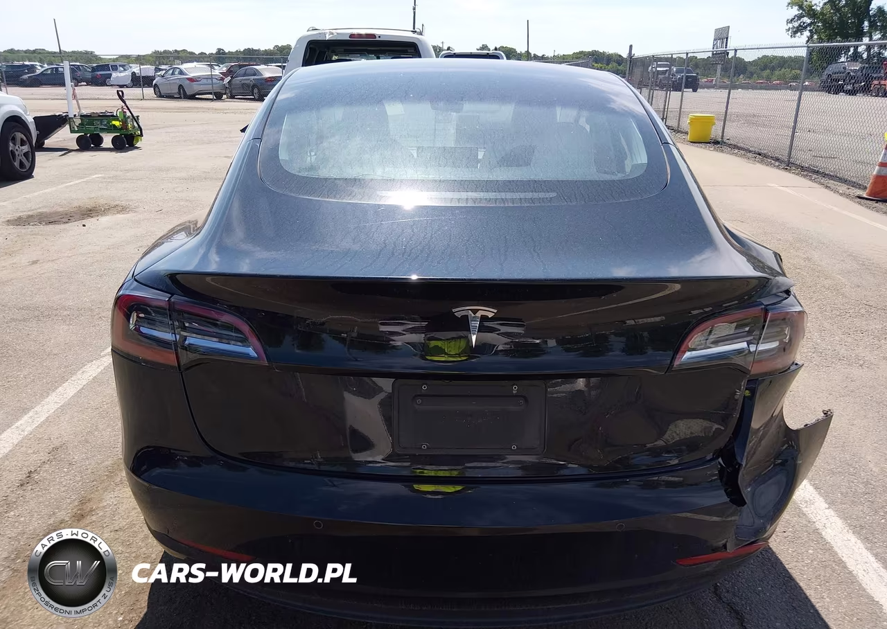 2019 Tesla Model 3 Long Range-Mid Range-Standard Range-Standard Range Plus VIN:5YJ3E1EA4KF323543 - 19