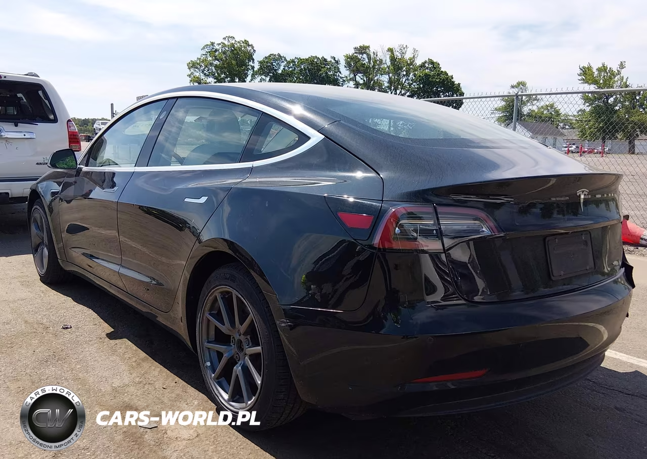 2019 Tesla Model 3 Long Range-Mid Range-Standard Range-Standard Range Plus VIN:5YJ3E1EA4KF323543 - 3
