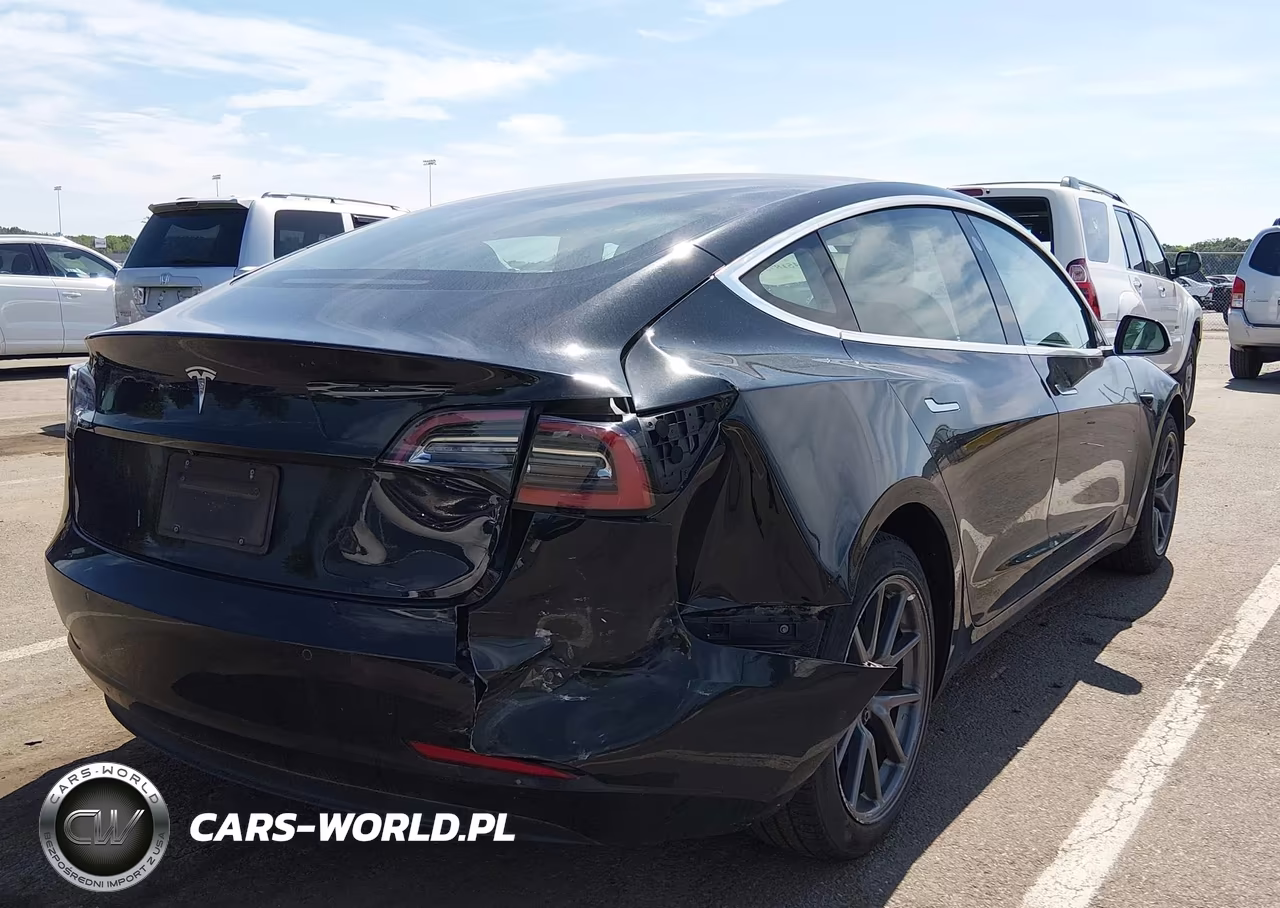 2019 Tesla Model 3 Long Range-Mid Range-Standard Range-Standard Range Plus VIN:5YJ3E1EA4KF323543 - 4