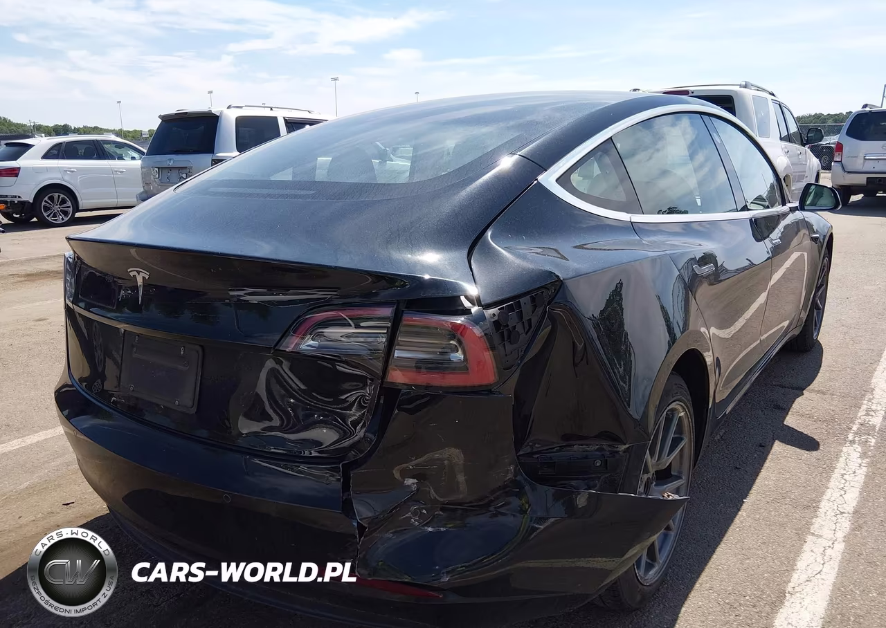 2019 Tesla Model 3 Long Range-Mid Range-Standard Range-Standard Range Plus VIN:5YJ3E1EA4KF323543 - 6