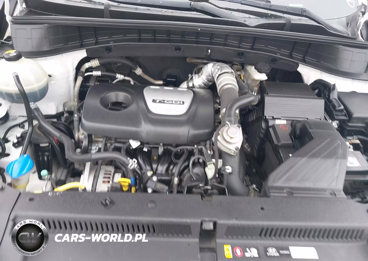 2017 Hyundai Tucson Eco VIN:KM8J33A28HU353681 - 10