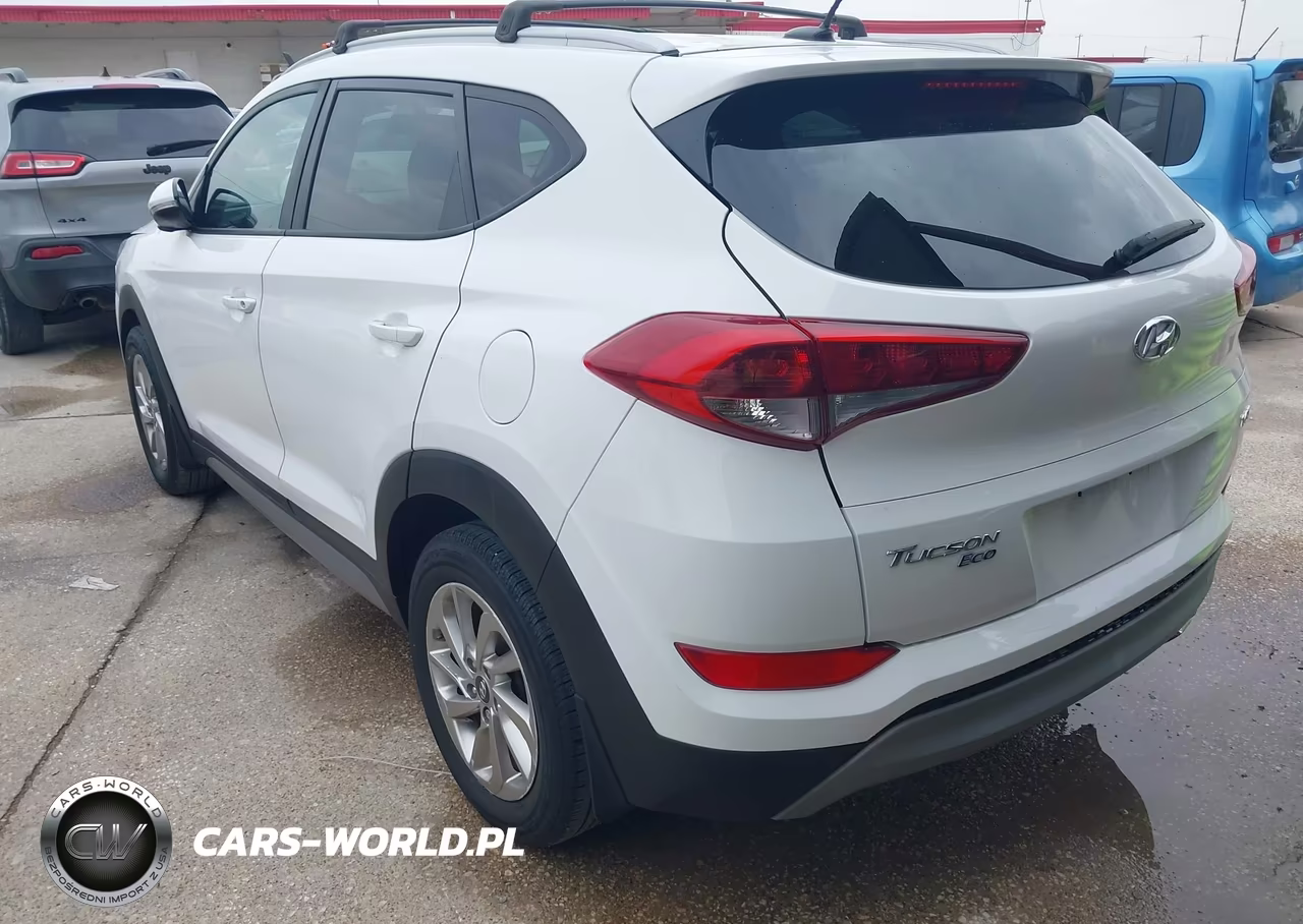 2017 Hyundai Tucson Eco VIN:KM8J33A28HU353681 - 3
