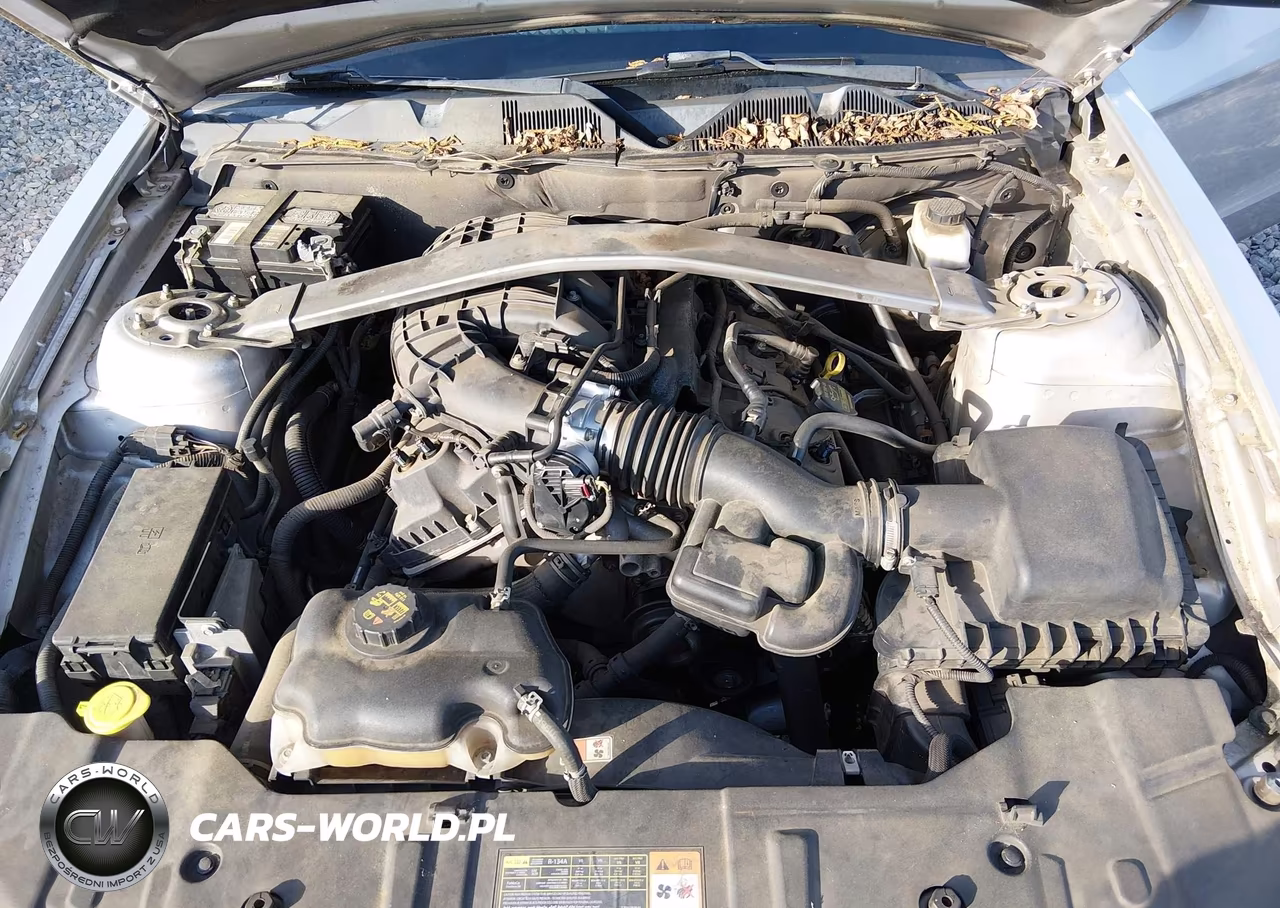 2013 Ford Mustang V6 Premium VIN:1ZVBP8AMXD5204363 - 10