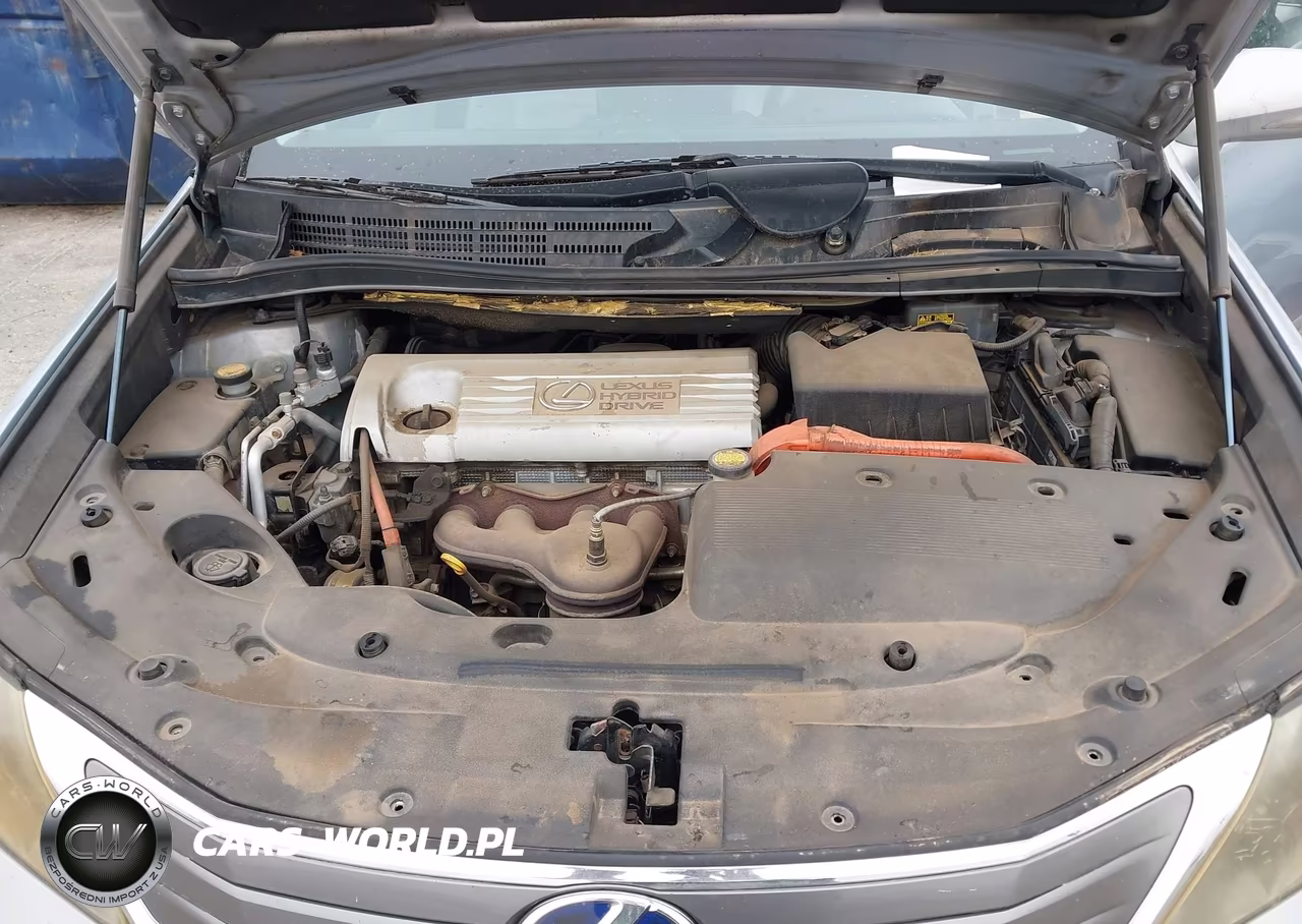 2010 Lexus Hs 250H Premium VIN:JTHBB1BA6A2008624 - 10