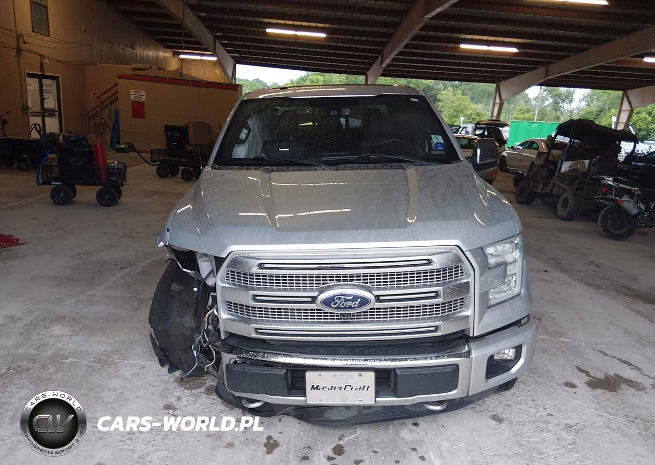 2015 Ford F-150 Platinum VIN:1FTEW1EG4FFB89452 - 13