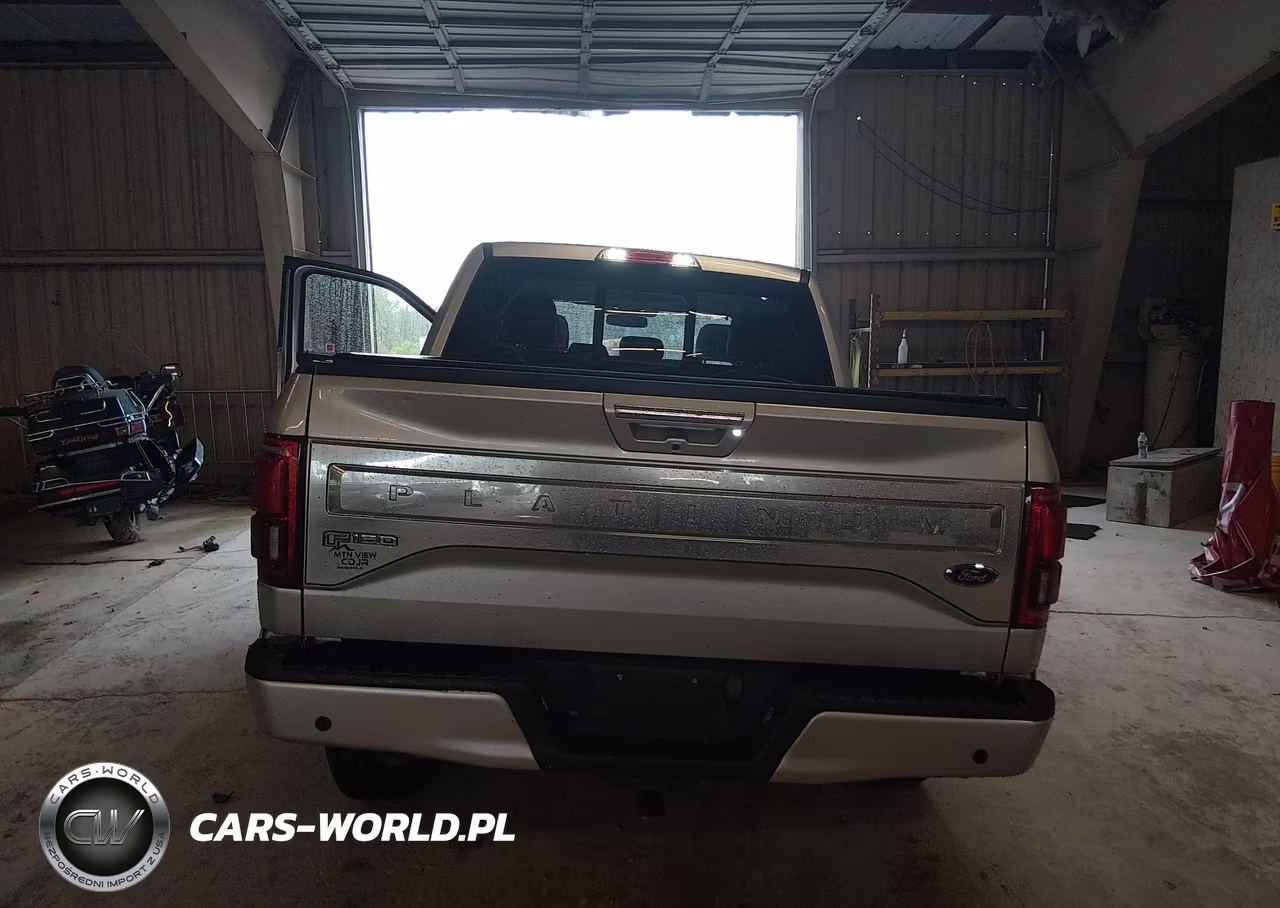 2015 Ford F-150 Platinum VIN:1FTEW1EG4FFB89452 - 17