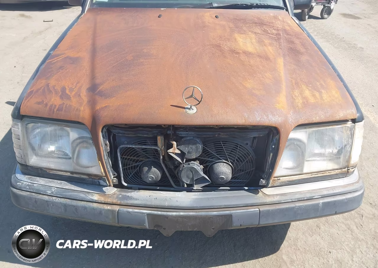 1995 Mercedes-Benz E 320 Base-320 Special VIN:WDBEA32EXSC219531 - 6