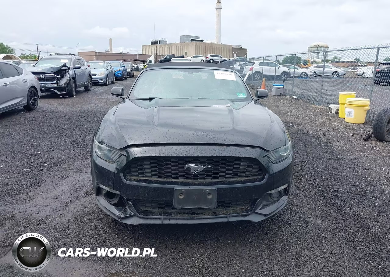 2016 Ford Mustang Ecoboost Premium VIN:1FATP8UH1G5316159 - 12