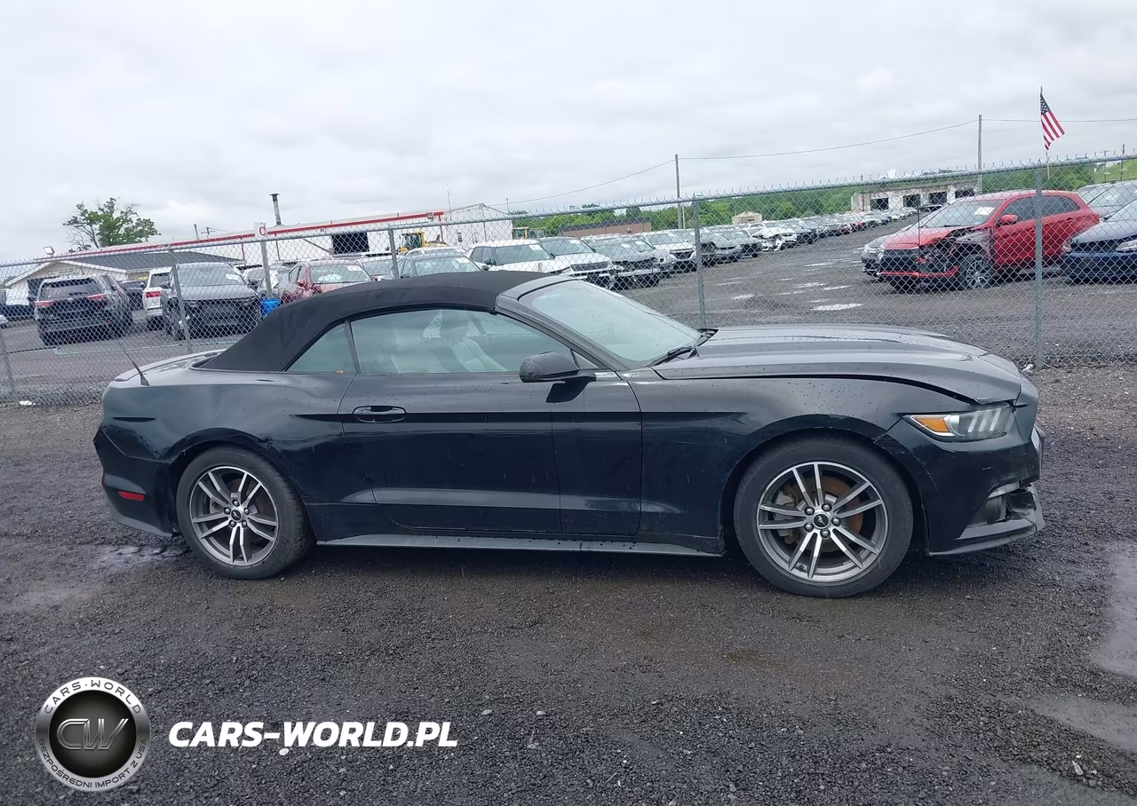 2016 Ford Mustang Ecoboost Premium VIN:1FATP8UH1G5316159 - 13