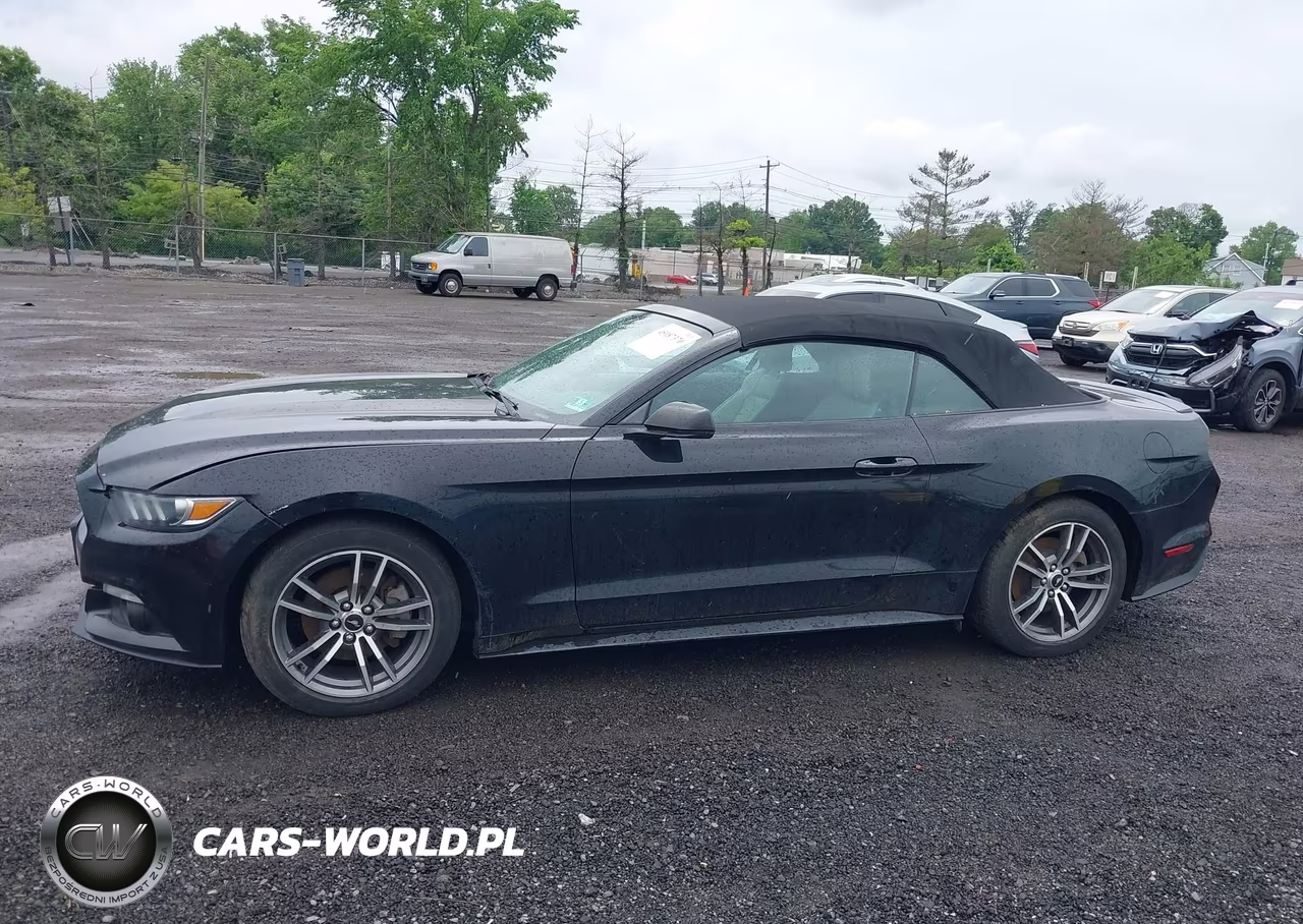 2016 Ford Mustang Ecoboost Premium VIN:1FATP8UH1G5316159 - 14