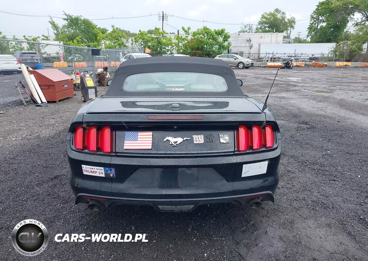 2016 Ford Mustang Ecoboost Premium VIN:1FATP8UH1G5316159 - 16