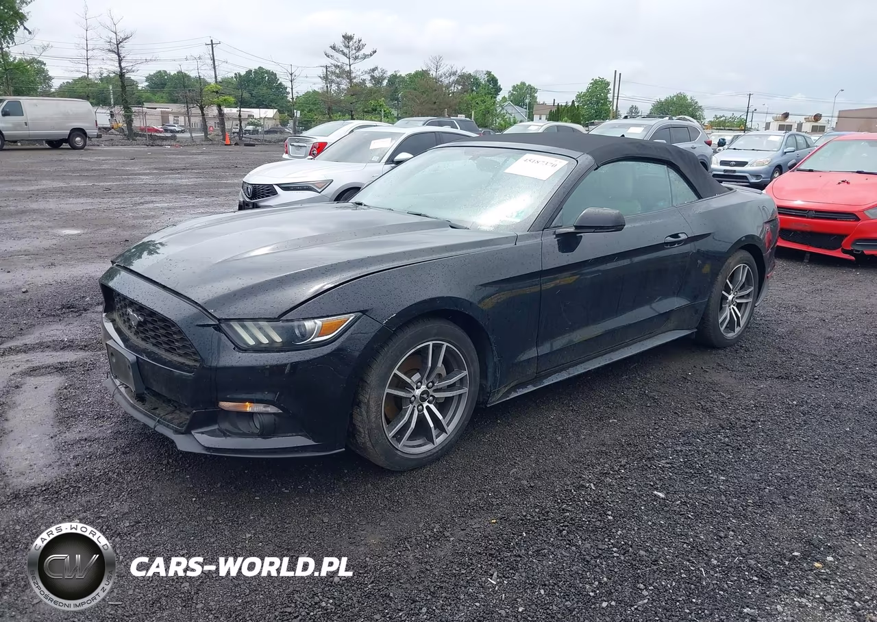 2016 Ford Mustang Ecoboost Premium VIN:1FATP8UH1G5316159 - 2