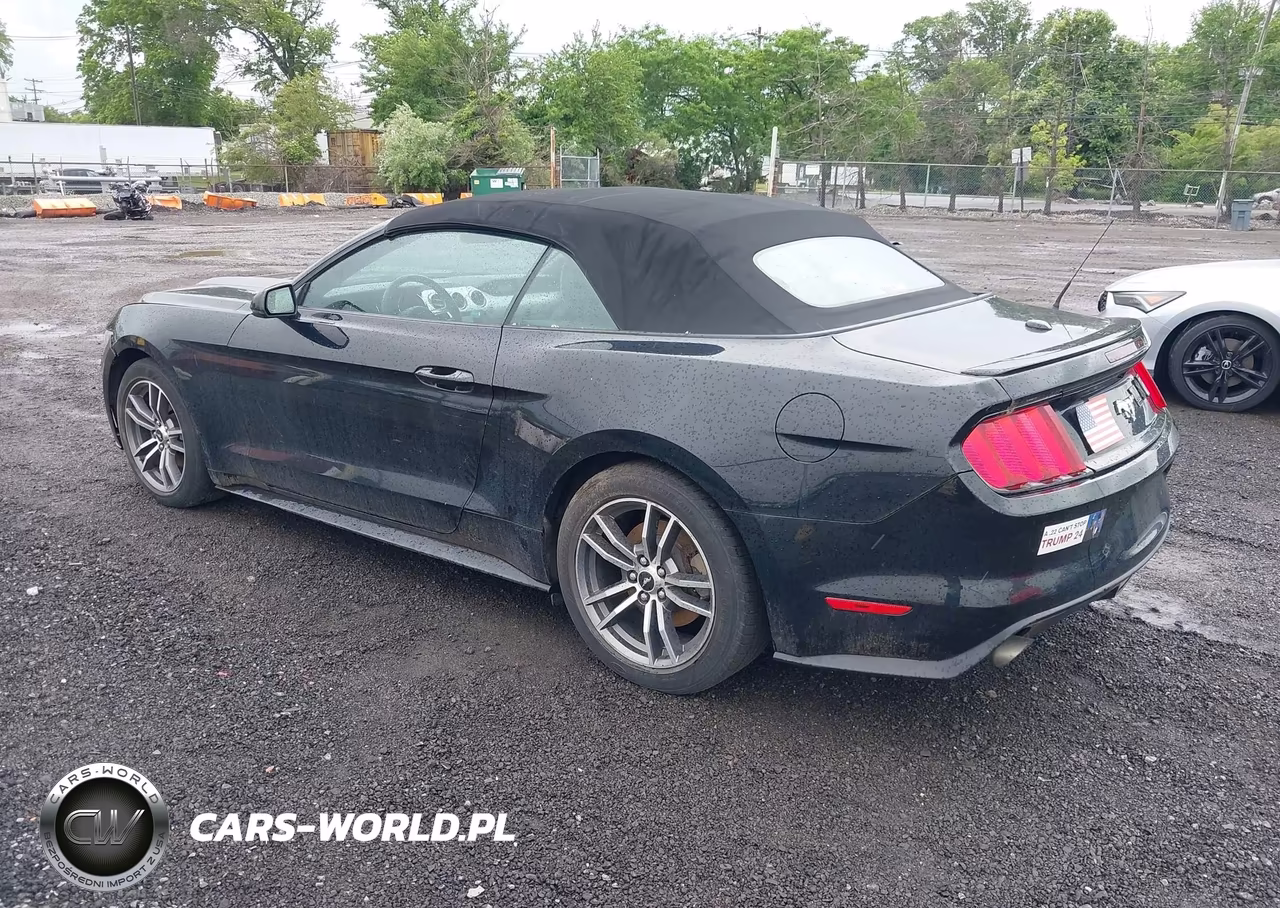 2016 Ford Mustang Ecoboost Premium VIN:1FATP8UH1G5316159 - 3