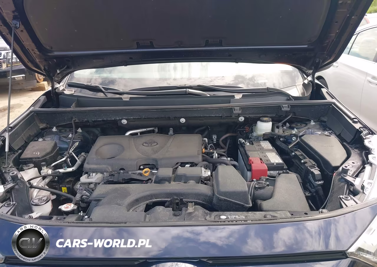 2024 Toyota Rav4 Xle VIN:2T3P1RFV6RW495297 - 10