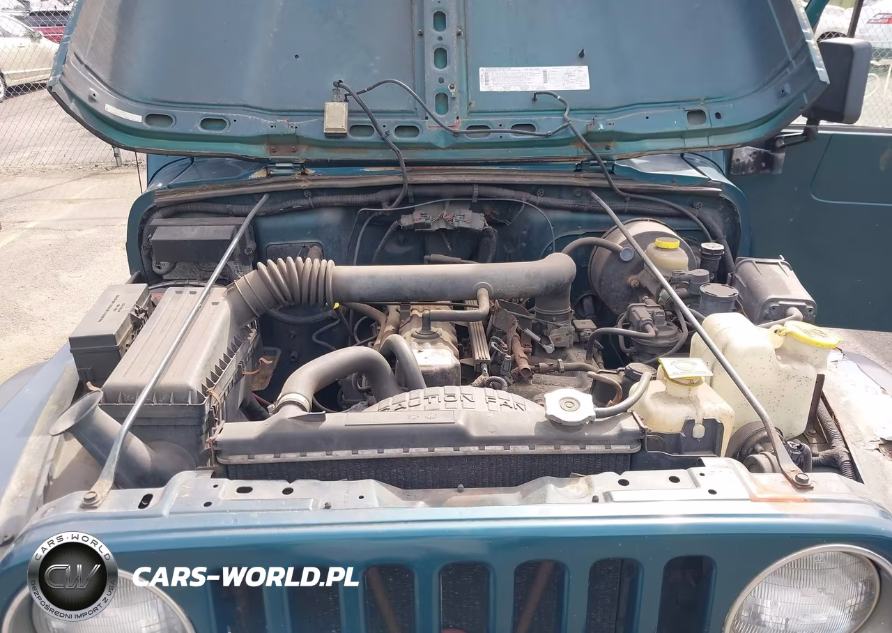 1998 Jeep Wrangler Sport VIN:1J4FY19SXWP719411 - 10