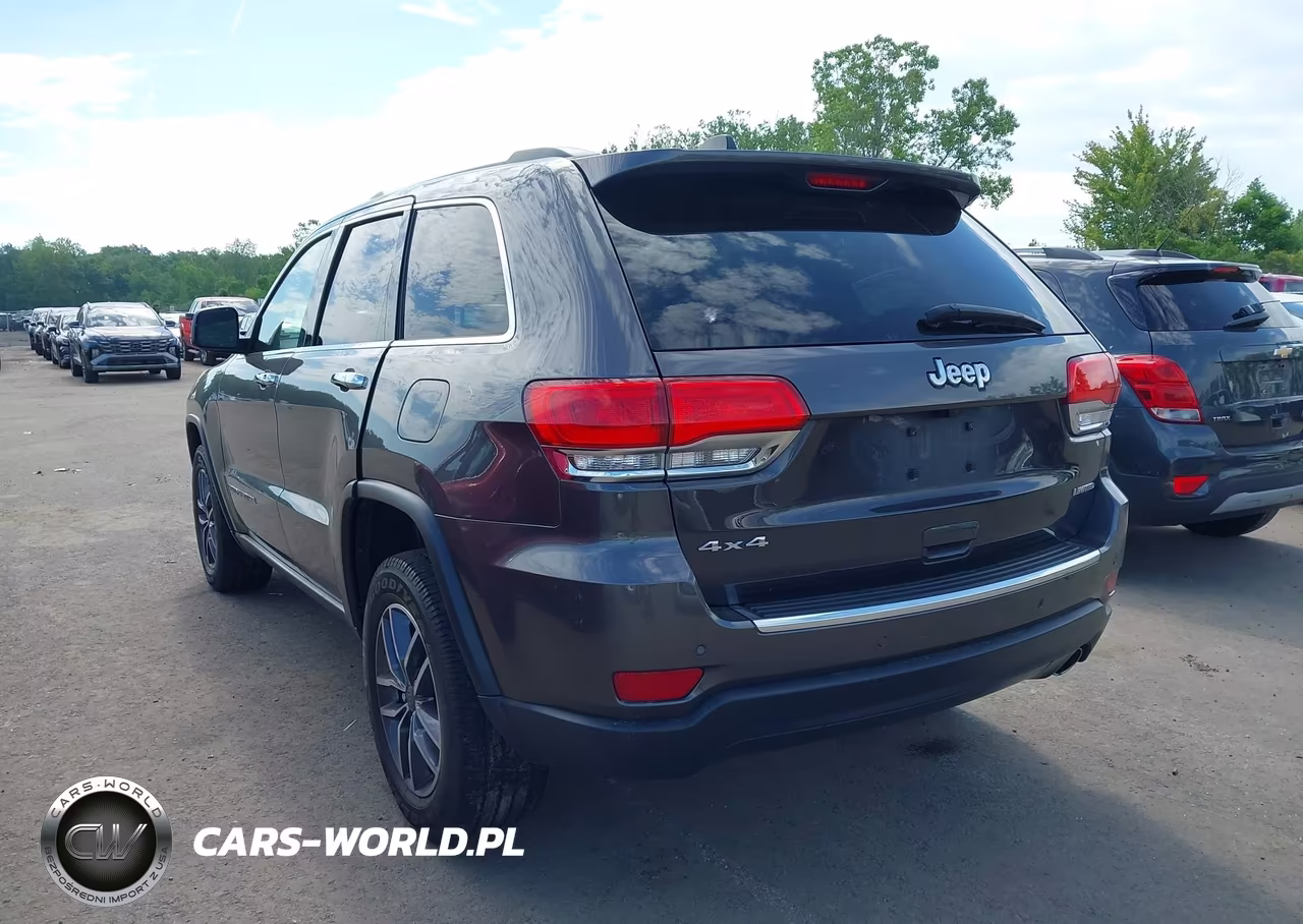 2019 Jeep Grand Cherokee Limited 4X4 VIN:1C4RJFBG1KC642083 - 3