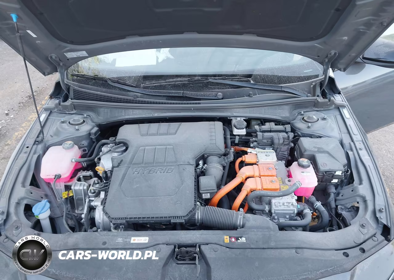2025 Hyundai Elantra Hybrid Sel Sport VIN:KMHLM4DJ7SU173520 - 10