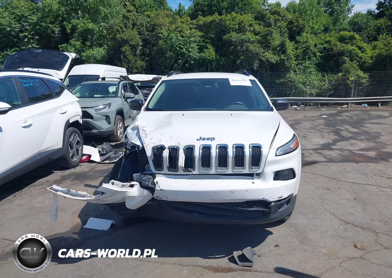 2017 Jeep Cherokee Sport 4X4 VIN:1C4PJMAB3HW582302 - 12