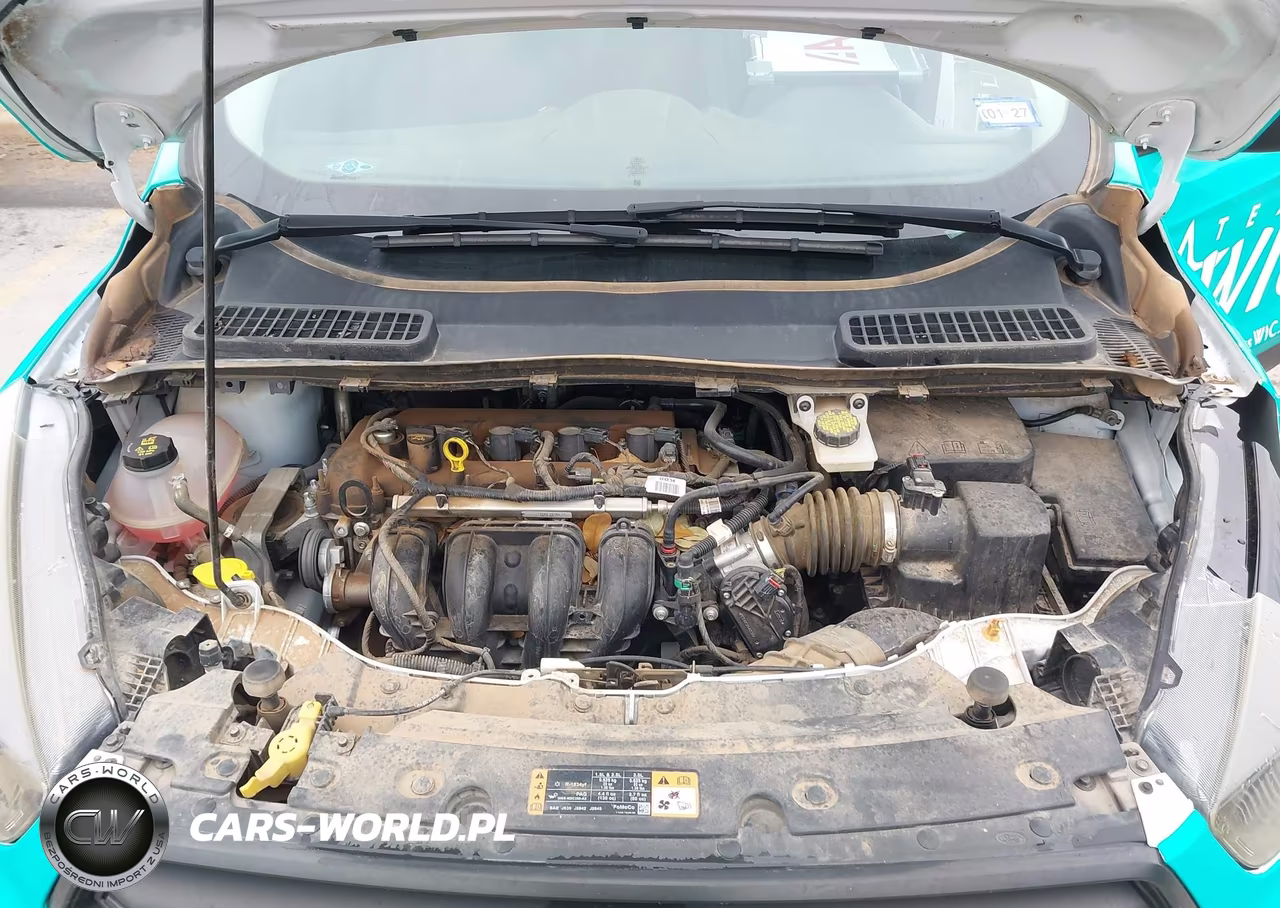2019 Ford Escape S VIN:1FMCU0F72KUA79250 - 10
