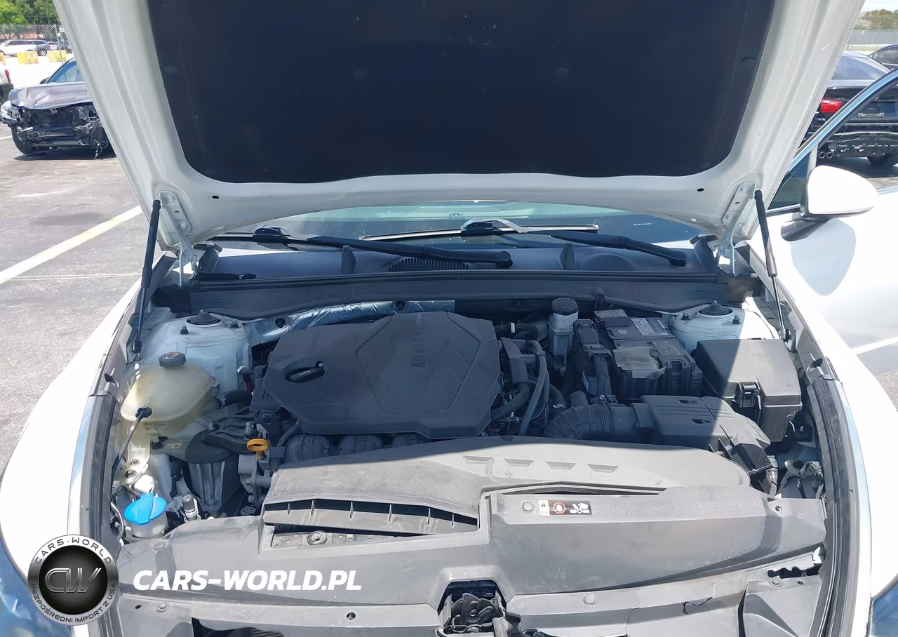 2020 Hyundai Sonata Se VIN:5NPEG4JA8LH039572 - 10