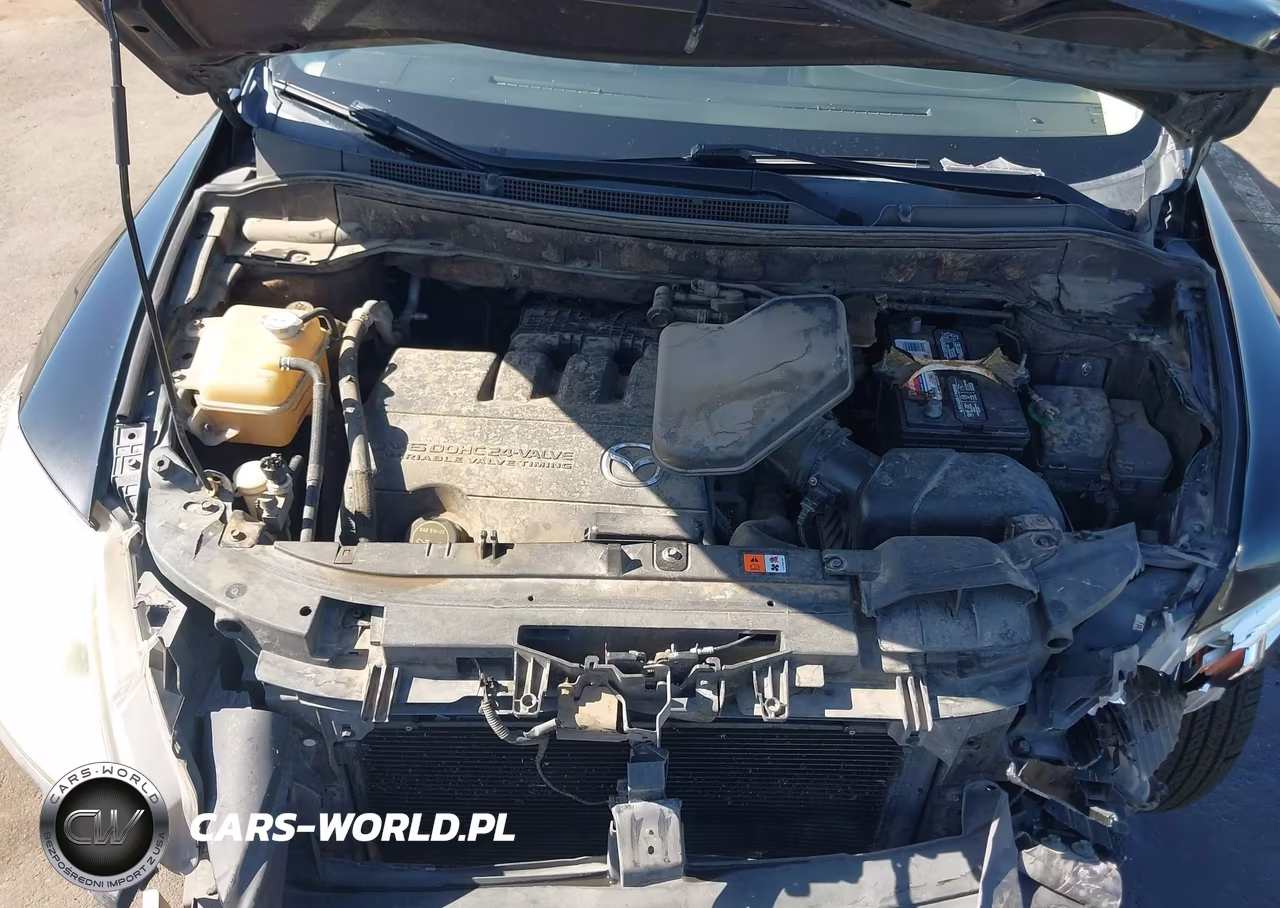 2011 Mazda Cx-9 Sport VIN:JM3TB2BA1B0309799 - 10