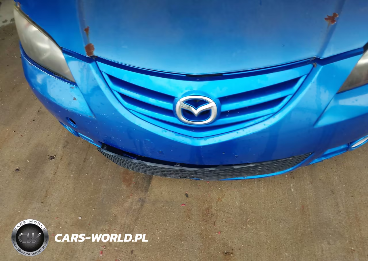 2004 Mazda Mazda3 S VIN:JM1BK123641213051 - 6