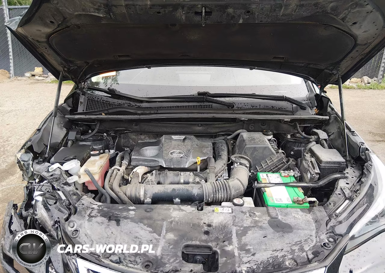 2020 Lexus Nx 300 VIN:JTJGARDZ6L2225831 - 10