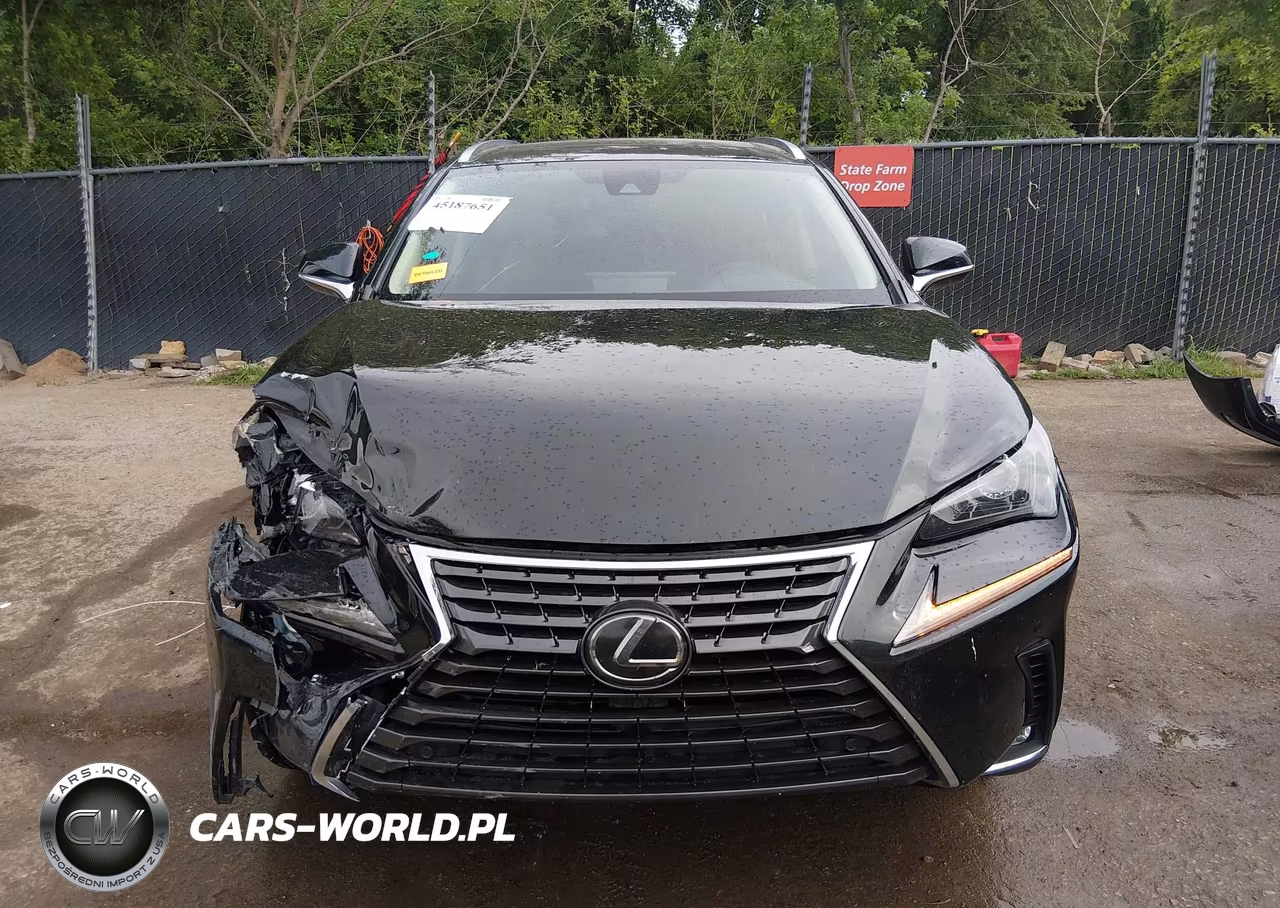 2020 Lexus Nx 300 VIN:JTJGARDZ6L2225831 - 12