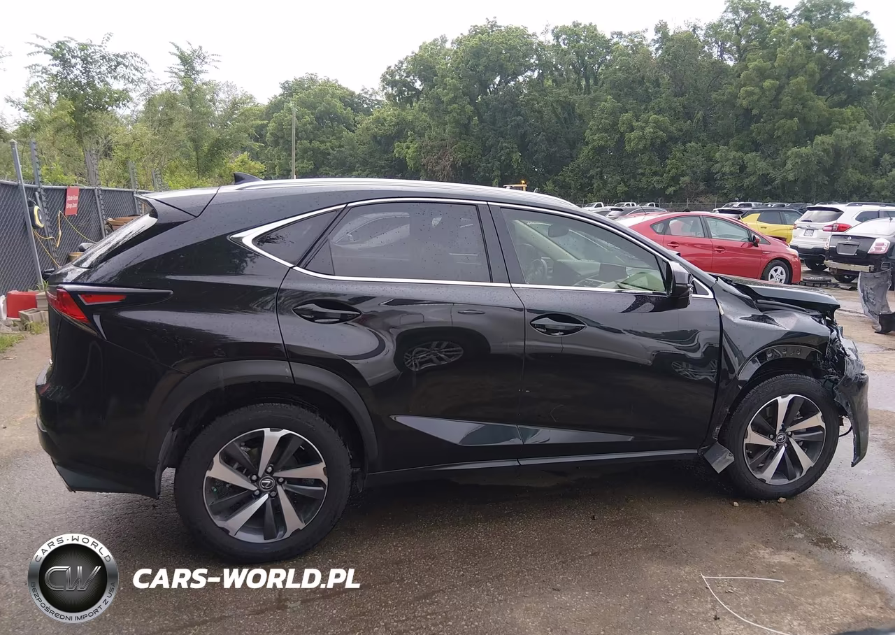 2020 Lexus Nx 300 VIN:JTJGARDZ6L2225831 - 13