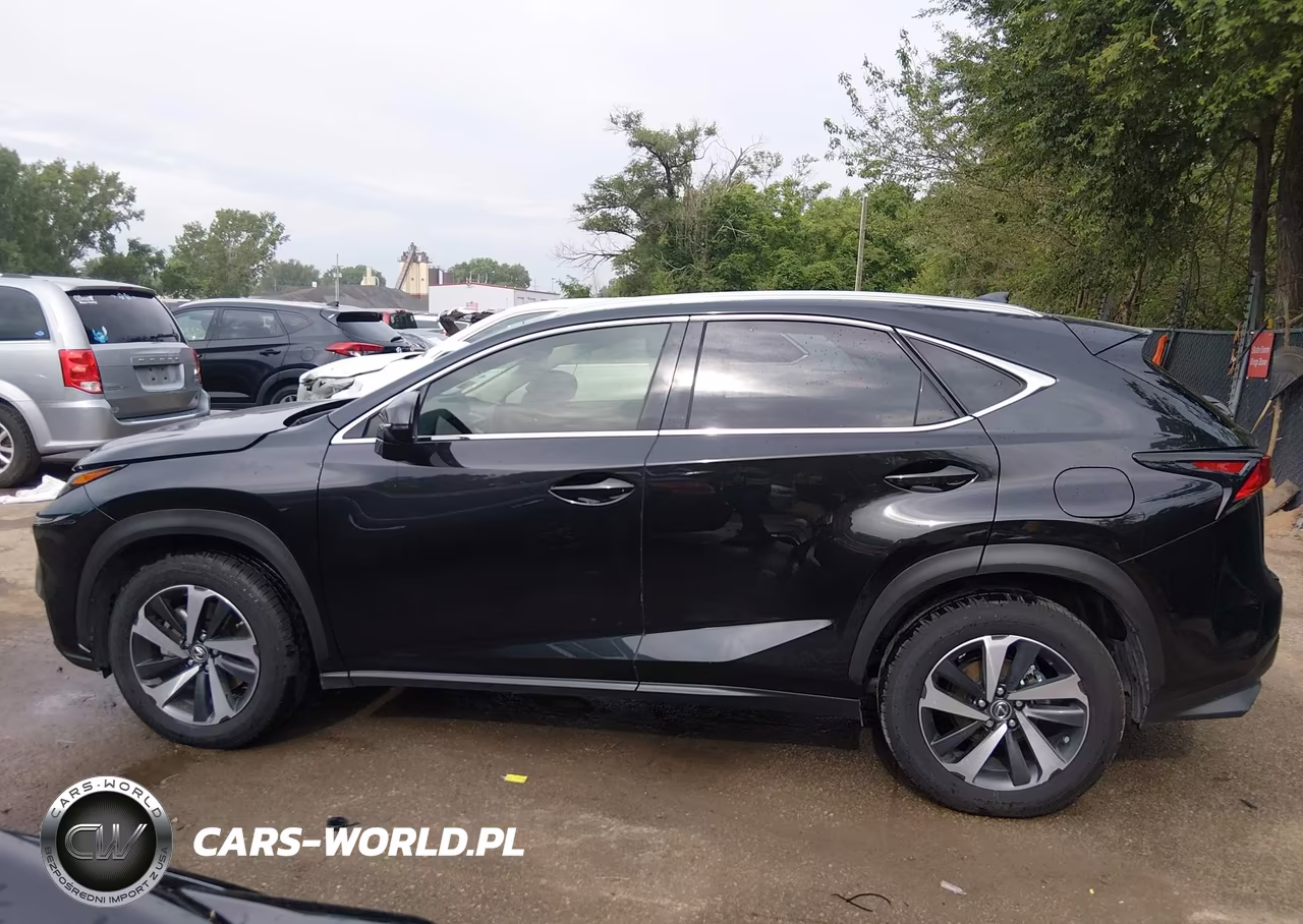 2020 Lexus Nx 300 VIN:JTJGARDZ6L2225831 - 14