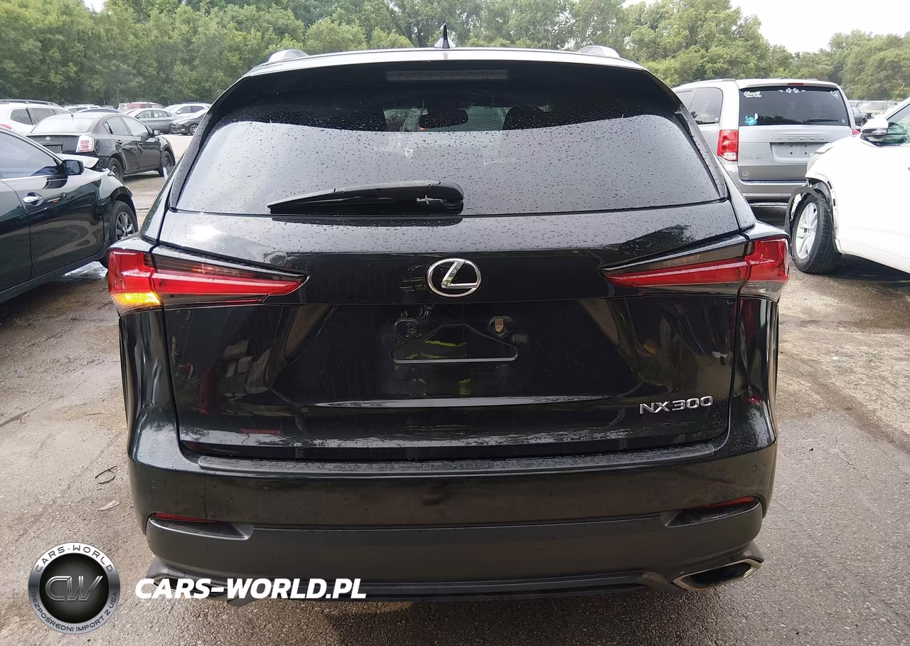 2020 Lexus Nx 300 VIN:JTJGARDZ6L2225831 - 16