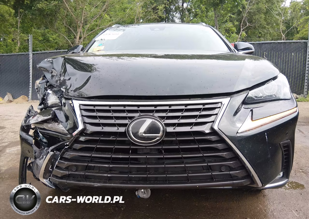 2020 Lexus Nx 300 VIN:JTJGARDZ6L2225831 - 17