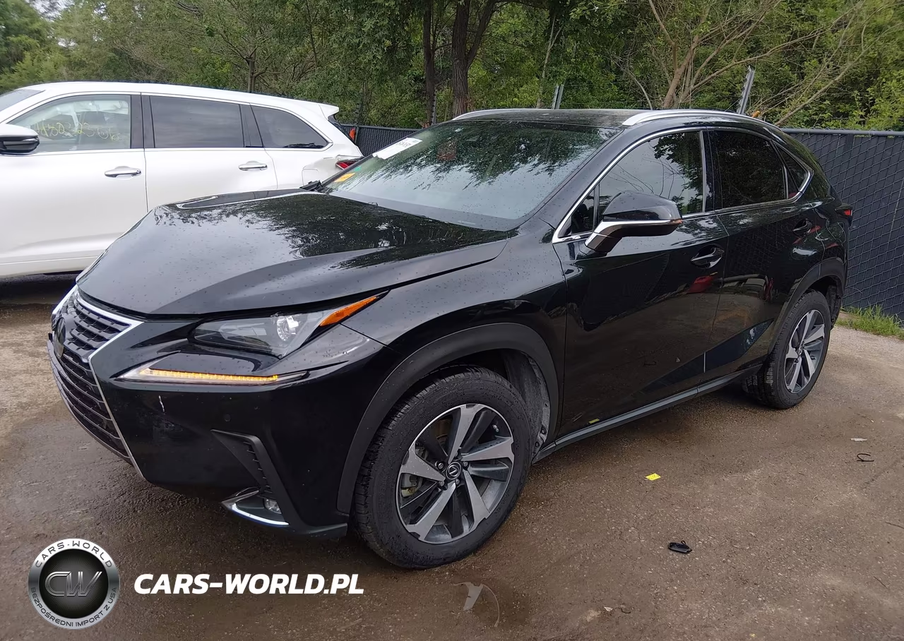2020 Lexus Nx 300 VIN:JTJGARDZ6L2225831 - 2