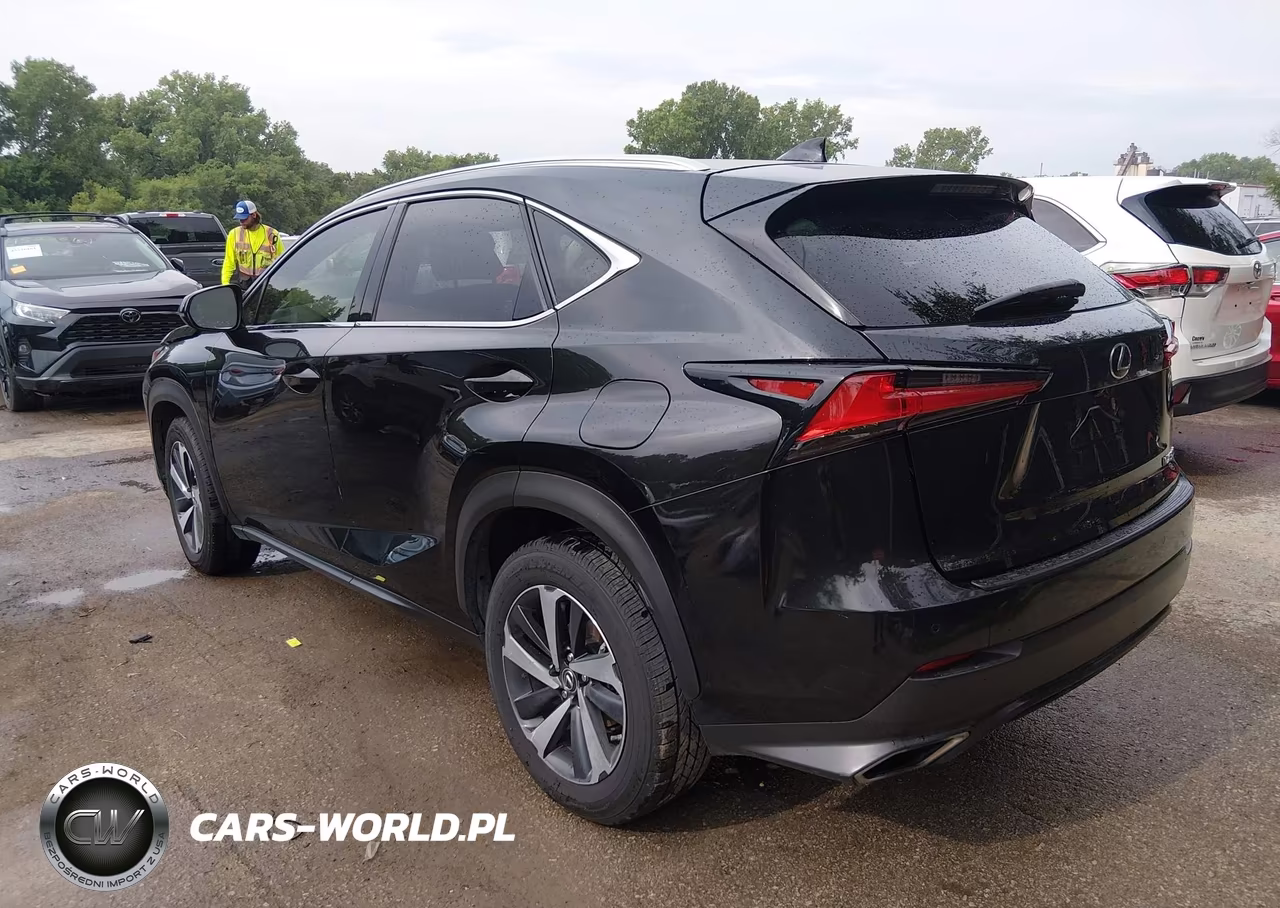 2020 Lexus Nx 300 VIN:JTJGARDZ6L2225831 - 3