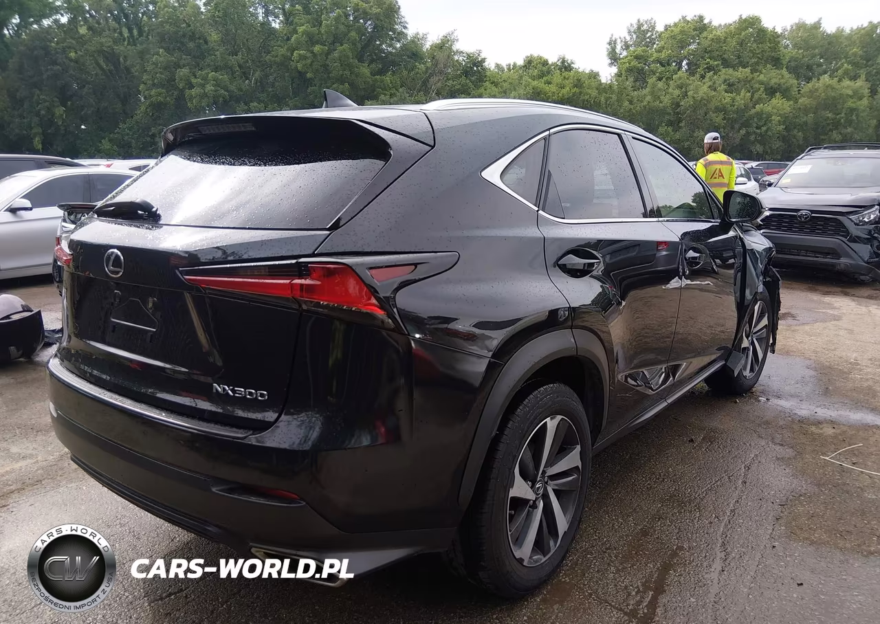 2020 Lexus Nx 300 VIN:JTJGARDZ6L2225831 - 4