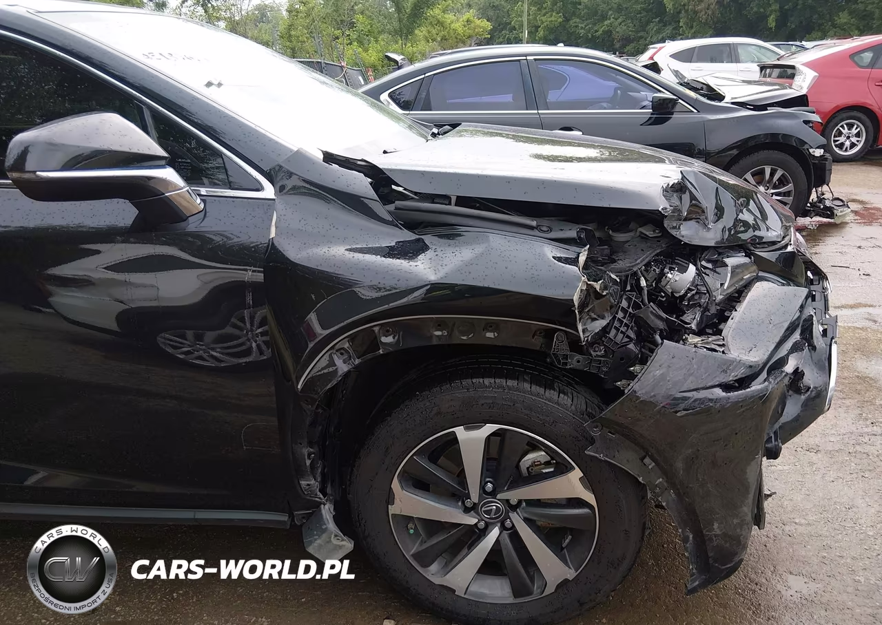 2020 Lexus Nx 300 VIN:JTJGARDZ6L2225831 - 6